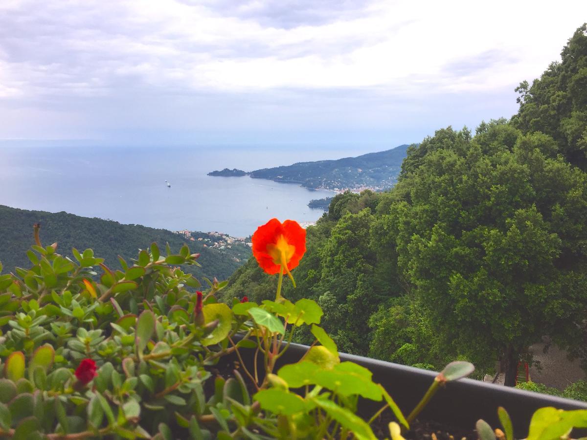 Hotel Montallegro Rapallo Exterior photo